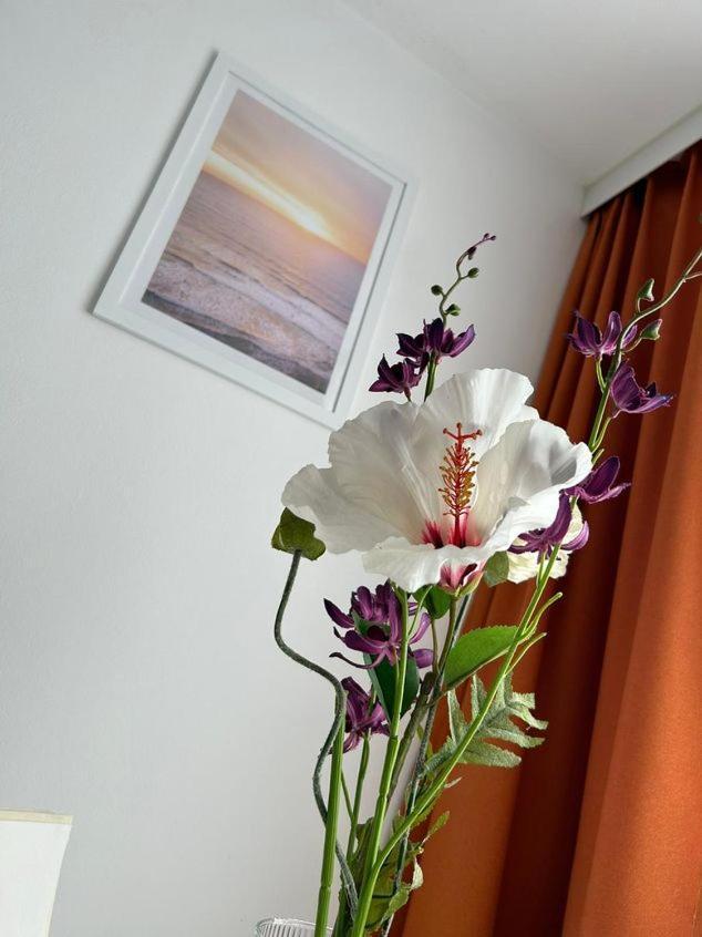 Apartment Harmony Graz Eksteriør billede